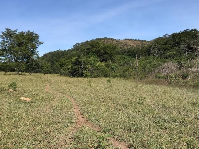 Fazenda para Venda em Niquelândia - 5