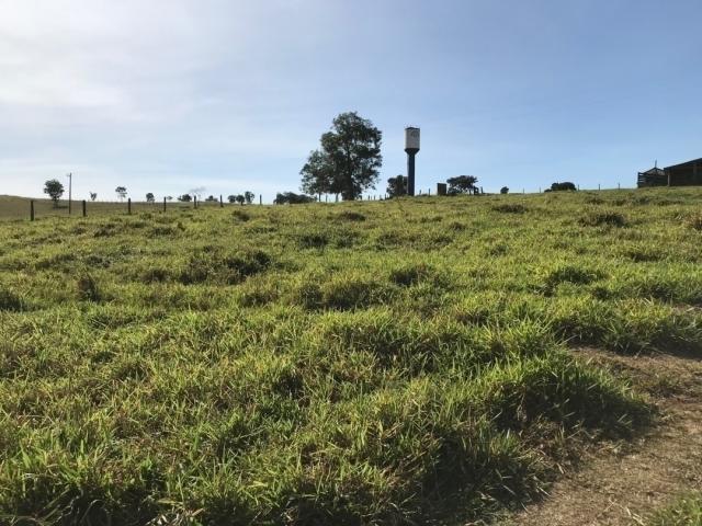 Fazenda para Venda em Niquelândia - 2