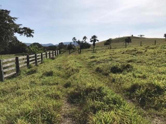 #74 - Fazenda para Venda em Niquelândia - GO - 3