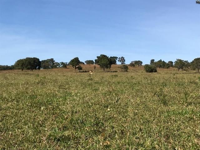 Fazenda para Venda em Niquelândia - 1