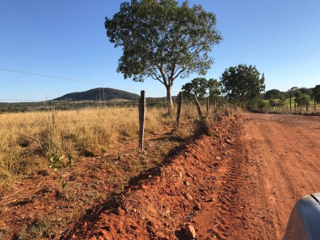 #75 - Fazenda para Venda em Itapaci - GO - 1