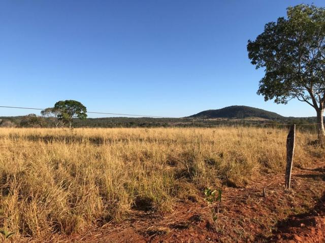 #75 - Fazenda para Venda em Itapaci - GO - 2