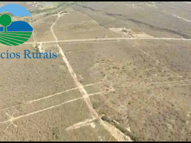 Fazenda para Venda em Cristino Castro - 4