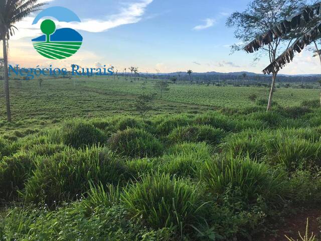 #91 - Fazenda para Venda em São Félix do Xingu - PA - 2