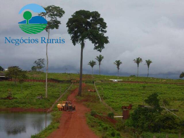 Fazenda para Venda em São Félix do Xingu - 3