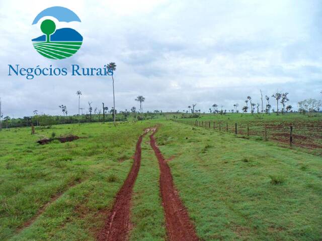 #91 - Fazenda para Venda em São Félix do Xingu - PA - 1