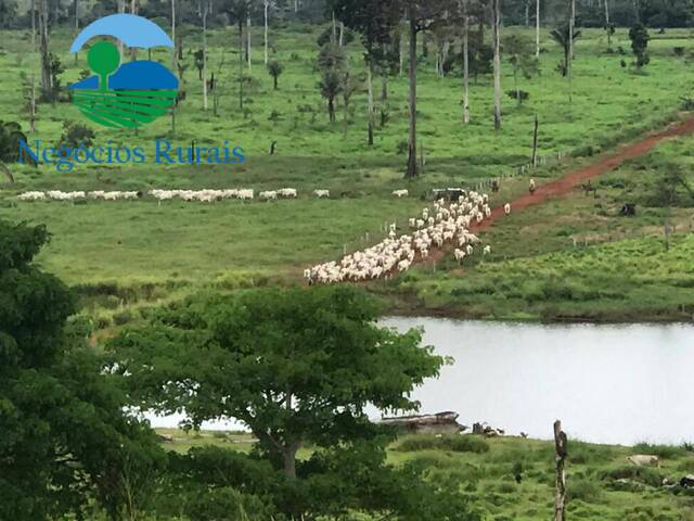 Fazenda para Venda em São Félix do Xingu - 5