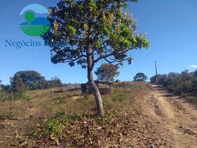 #92 - Fazenda para Venda em Campos Belos - GO - 3