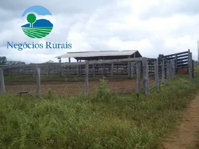 #93 - Fazenda para Venda em Niquelândia - GO - 2