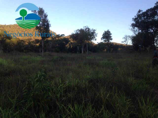 Fazenda para Venda em Niquelândia - 5