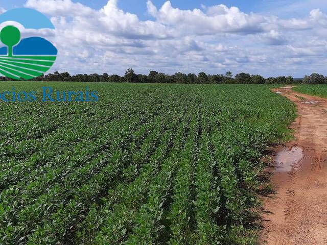 Fazenda para Venda em Palmas - 5