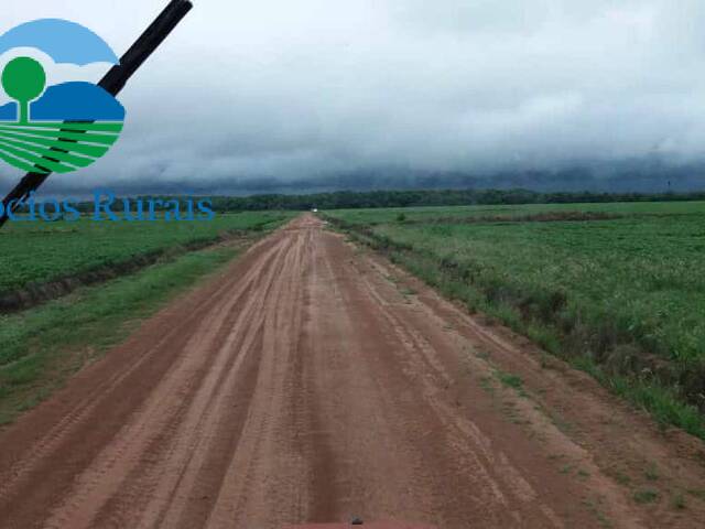 Fazenda para Venda em Palmas - 4