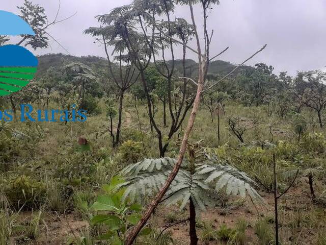 #99 - Fazenda para Venda em Vila Propício - GO