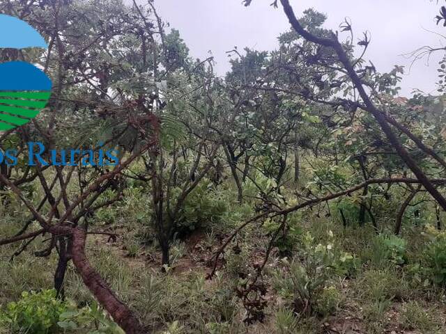 Fazenda para Venda em Vila Propício - 5