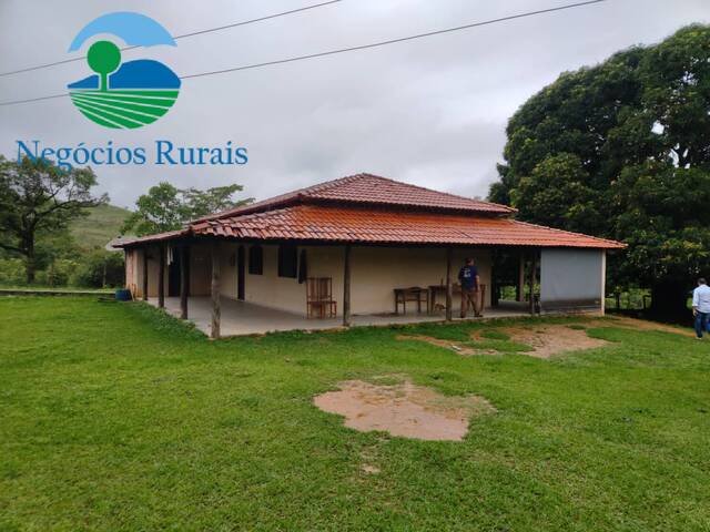 #99 - Fazenda para Venda em Vila Propício - GO - 1