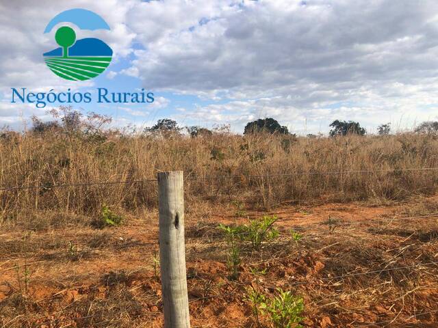 #100 - Fazenda para Venda em Minaçu - GO - 1