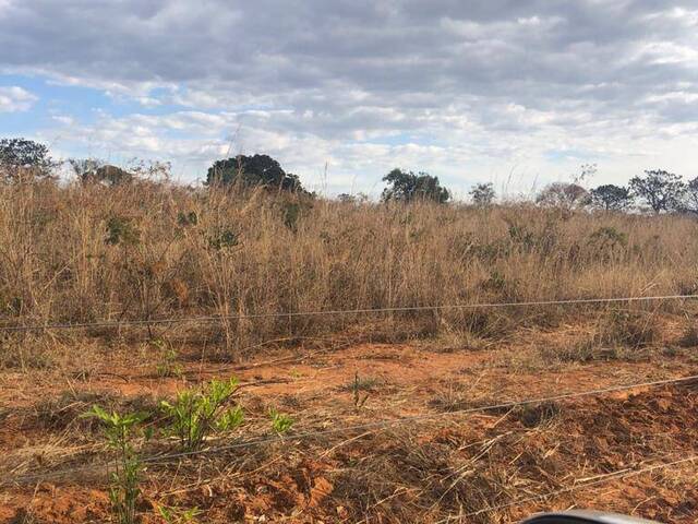 #100 - Fazenda para Venda em Minaçu - GO - 2