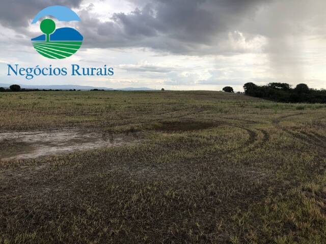 #101 - Fazenda para Venda em Uruaçu - GO - 1