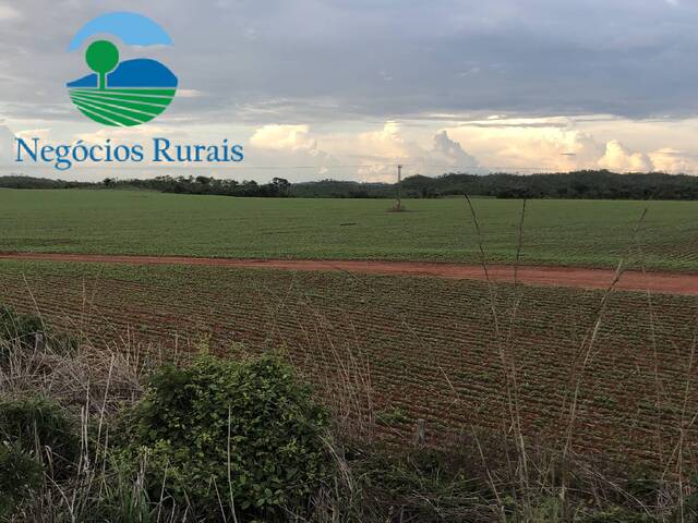 #101 - Fazenda para Venda em Uruaçu - GO