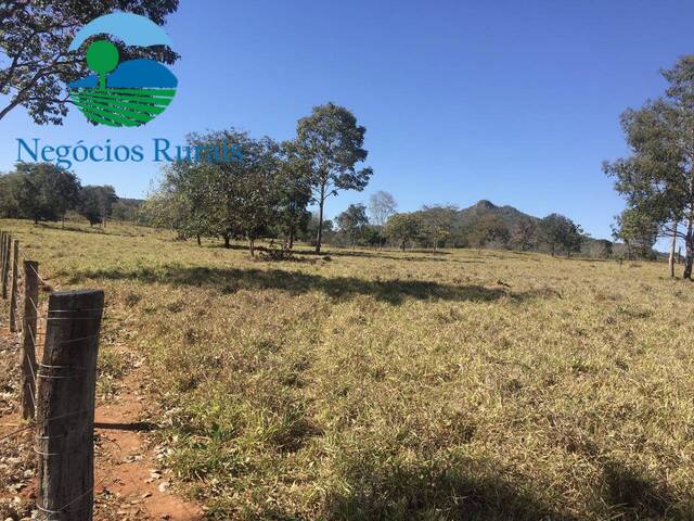 #106 - Fazenda para Venda em Campinaçu - GO - 2