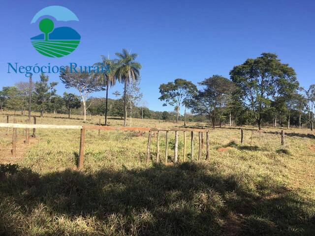 #106 - Fazenda para Venda em Campinaçu - GO