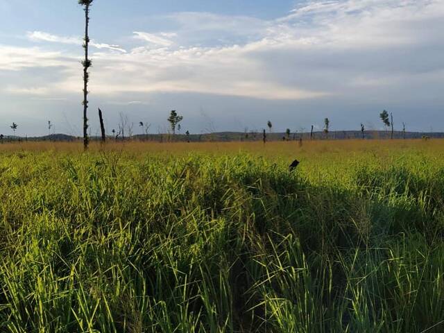 #107 - Chácara para Venda em São Félix do Xingu - PA