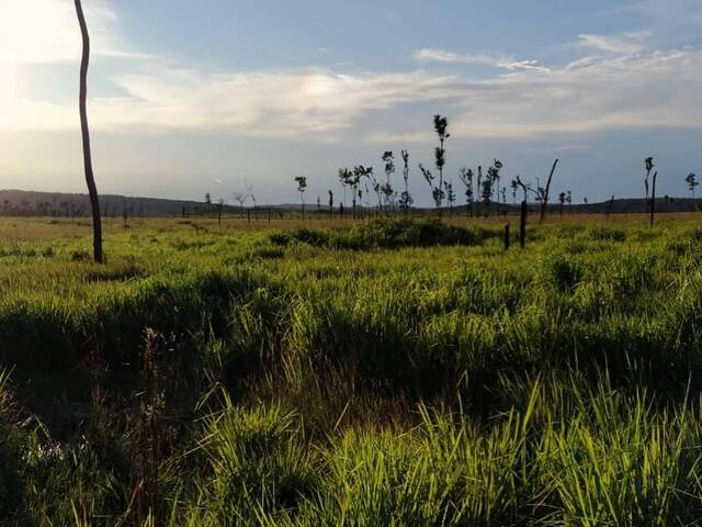 #107 - Chácara para Venda em São Félix do Xingu - PA