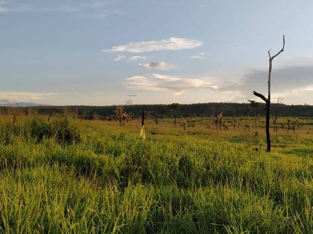 Chácara para Venda em São Félix do Xingu - 4