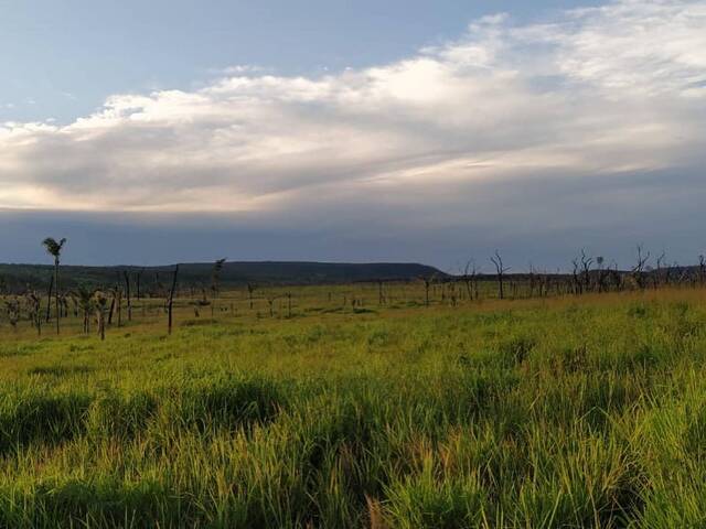 Chácara para Venda em São Félix do Xingu - 5
