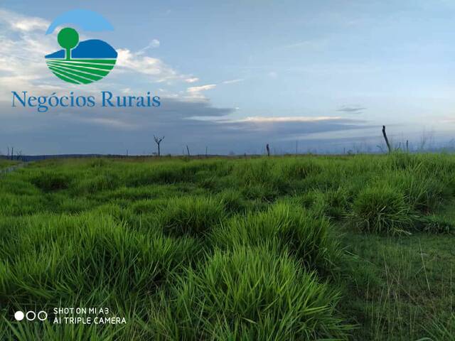 #107 - Chácara para Venda em São Félix do Xingu - PA