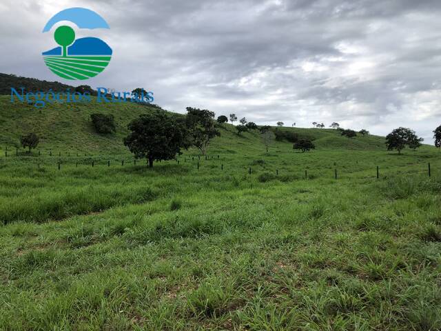 #103 - Fazenda para Venda em Formoso - GO - 3