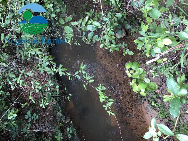 Fazenda para Venda em Uruaçu - 3