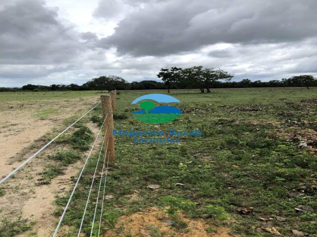 Fazenda para Venda em Uruaçu - 4