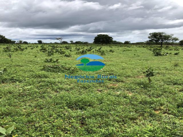 Fazenda para Venda em Uruaçu - 5