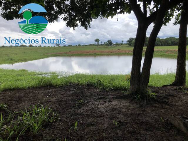 Fazenda para Venda em Uruaçu - 1