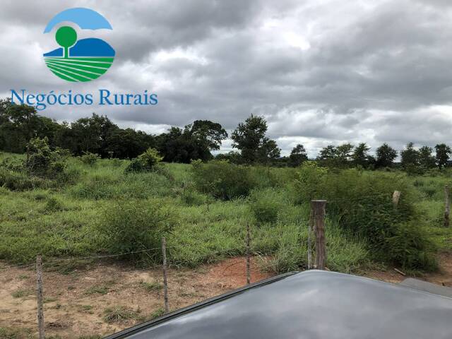 Fazenda para Venda em Alto Horizonte - 2