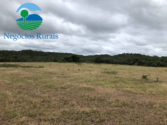 Venda em Zona rural - Alto Horizonte