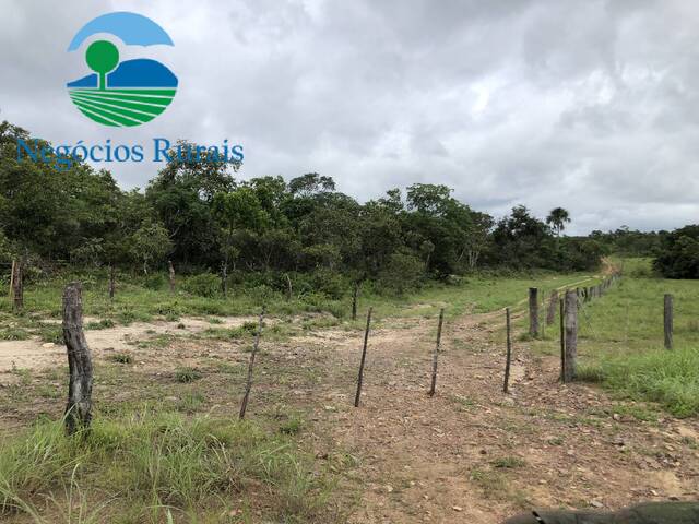 #104 - Fazenda para Venda em Alto Horizonte - GO - 3