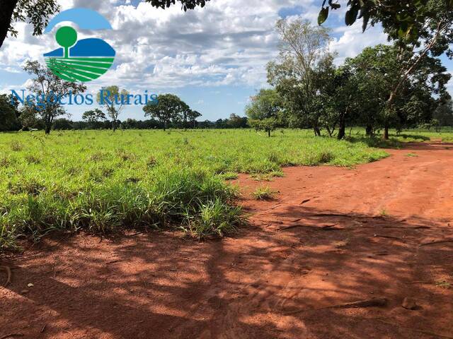 #109 - Fazenda para Venda em Porangatu - GO - 1