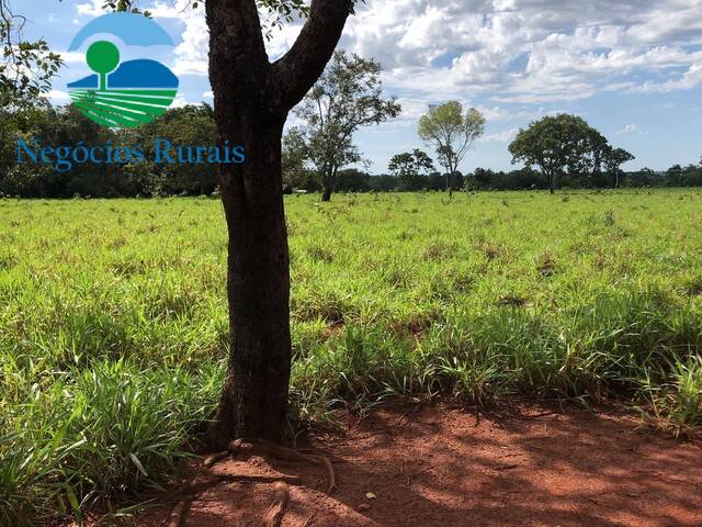 #109 - Fazenda para Venda em Porangatu - GO