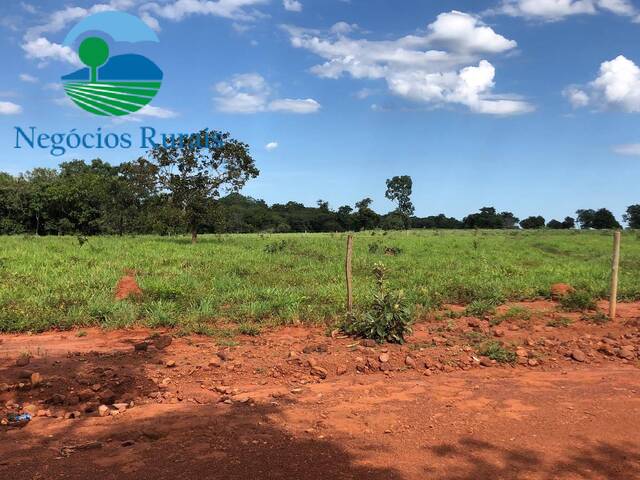 #109 - Fazenda para Venda em Porangatu - GO - 3