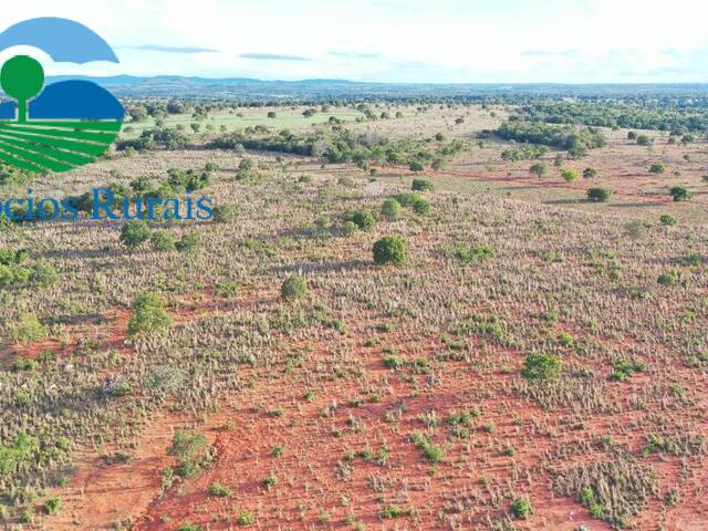 Fazenda para Venda em Porangatu - 1