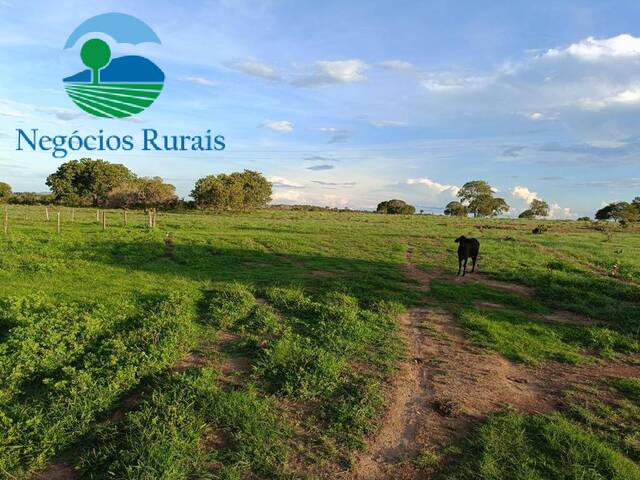 Fazenda para Venda em Porangatu - 3