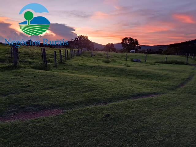 #115 - Fazenda para Venda em Novo Planalto - GO