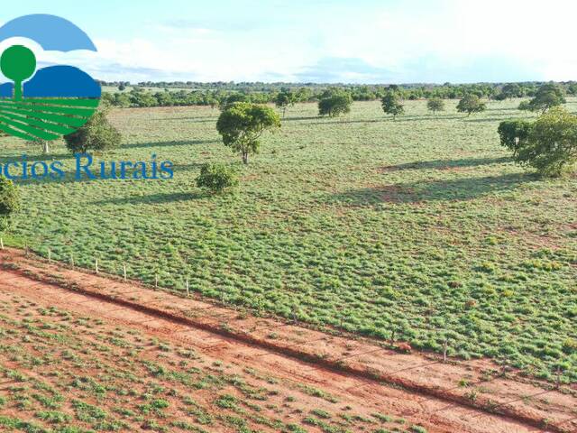 Fazenda para Venda em Novo Planalto - 4