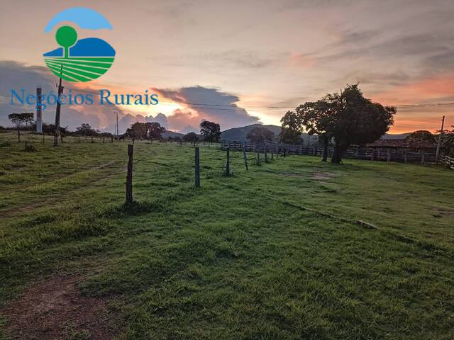 #115 - Fazenda para Venda em Novo Planalto - GO