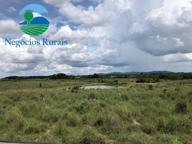 Fazenda para Venda em Crixás - 4