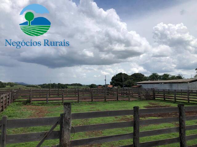 Fazenda para Venda em Crixás - 5