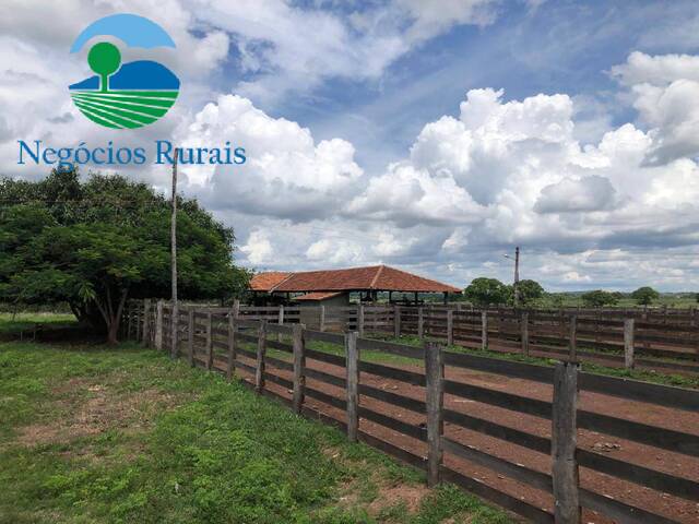 Fazenda para Venda em Crixás - 3