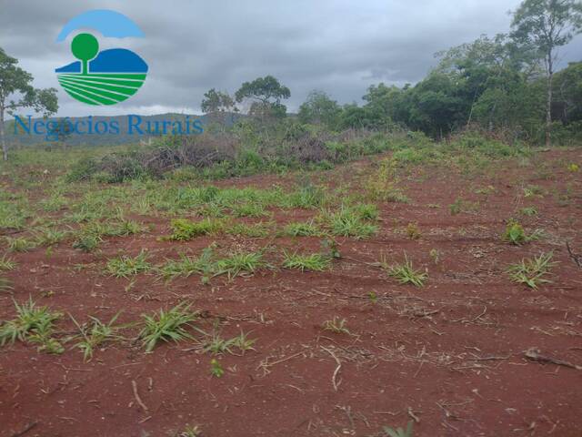 Fazenda para Venda em Niquelândia - 1